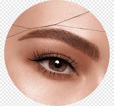 Eyebrow